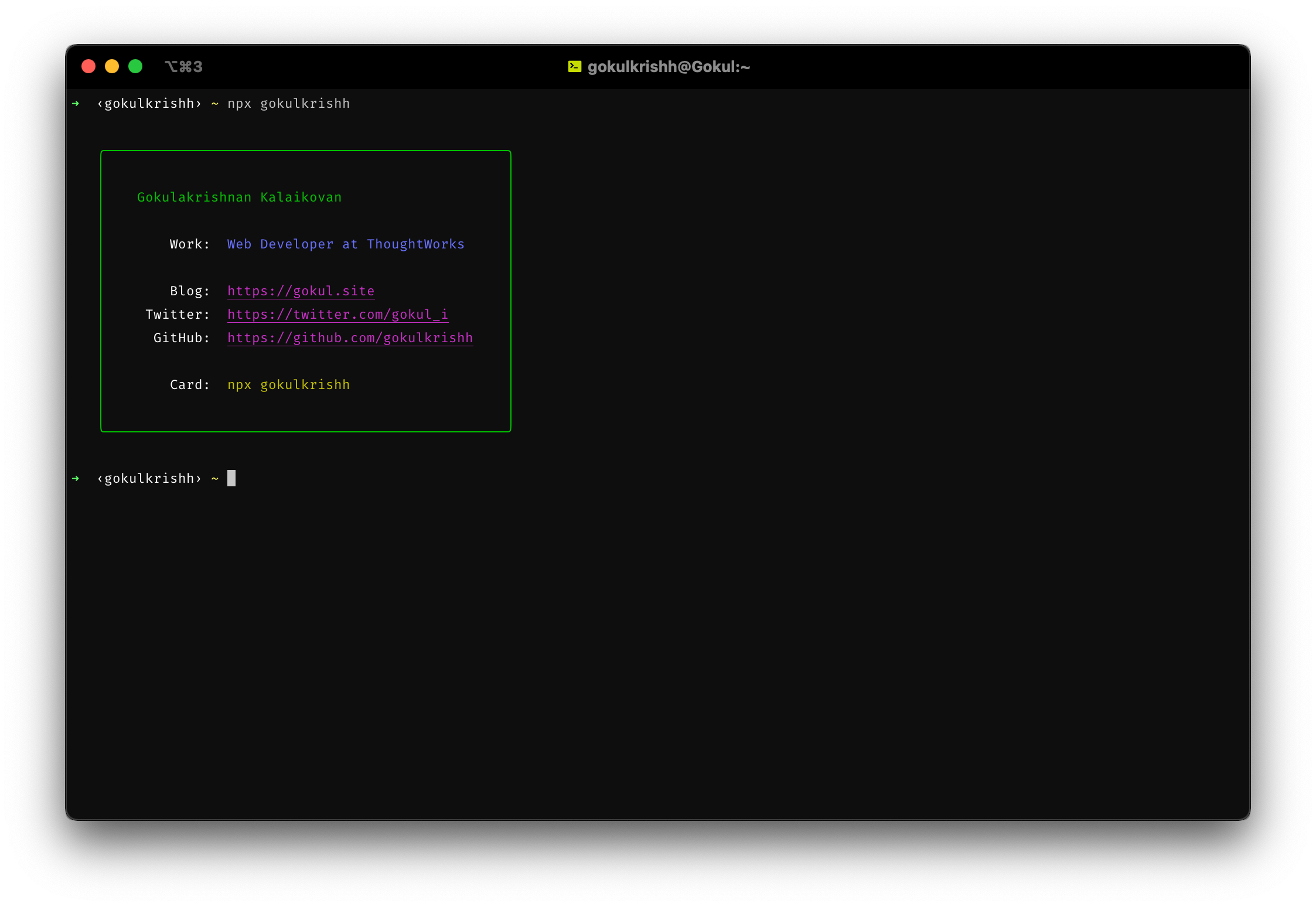 Screenshot of terminal application